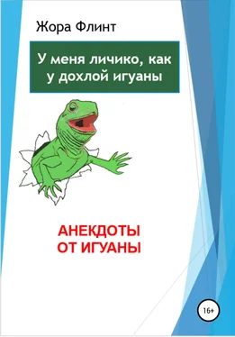 Жора Флинт Анекдоты от игуаны обложка книги