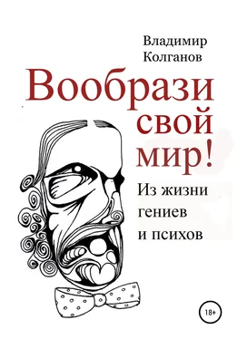 Владимир Колганов Вообрази свой мир! Из жизни гениев и психов обложка книги