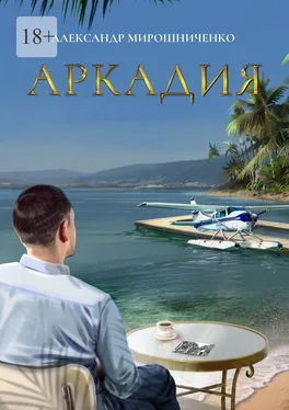 Александр Мирошниченко Аркадия обложка книги