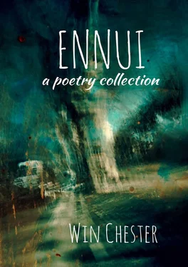 Win Chester Ennui. A Poetry Collection обложка книги
