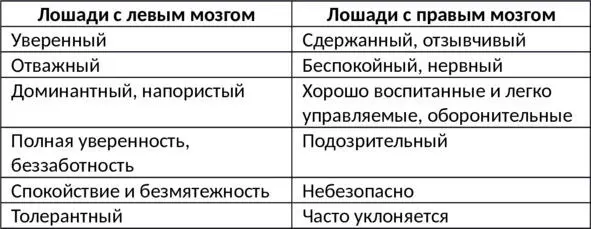 Второй фундаментальный фактор определяющий личность лошади это то как она - фото 4