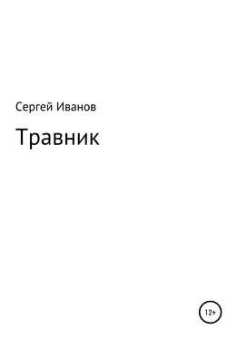 Сергей Иванов Травник обложка книги