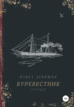 Павел Девяшин Буревестник обложка книги