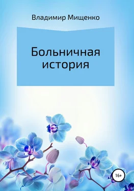 Владимир Мищенко Больничная история обложка книги