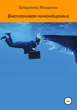 Владимир Мищенко Внеплановая командировка обложка книги