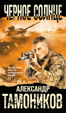 Александр Тамоников Черное солнце обложка книги