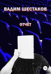 Вадим Шестаков - Отчёт