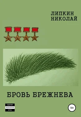 Николай Липкин Бровь Брежнева обложка книги