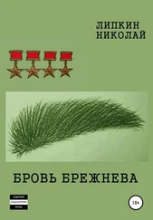 Николай Липкин - Бровь Брежнева