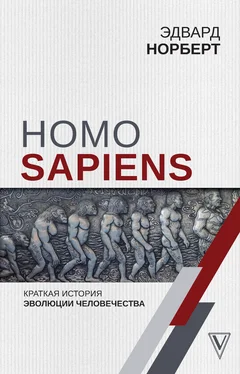 Эдвард Норберт Homo Sapiens. Краткая история эволюции человечества
