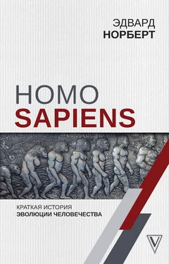 Эдвард Норберт Homo Sapiens. Краткая история эволюции человечества обложка книги