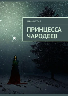 Анна Беглар Принцесса чародеев обложка книги