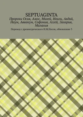 И. Носов Пророки Осия, Амос, Михей, Иоиль, Авдий, Наум, Аввакум, Софония, Аггей, Захария, Малахия обложка книги