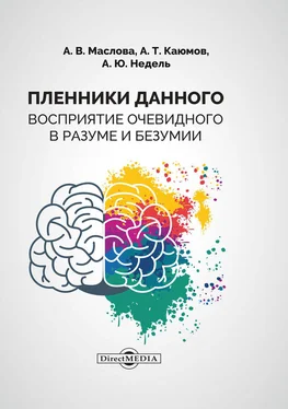 Анастасия Маслова Пленники данного. Восприятие очевидного в разуме и безумии обложка книги