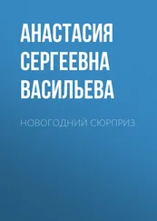 Анастасия Васильева - Новогодний сюрприз