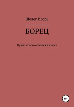 Игорь Шелег Борец. Нужно просто остаться в живых обложка книги