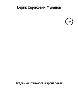 Берик Муканов Академия Сталкеров и тропа теней обложка книги