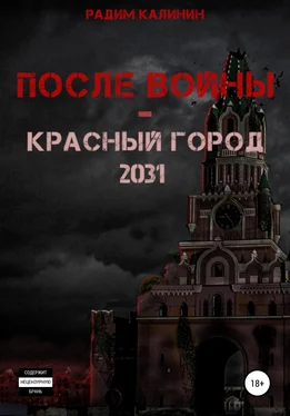 Радим Калинин После войны. Красный город 2031 обложка книги