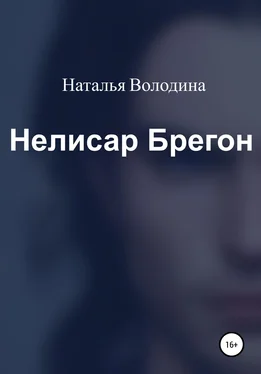 Наталья Володина Нелисар Брегон обложка книги