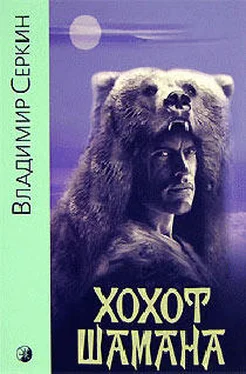Владимир Серкин Хохот шамана обложка книги