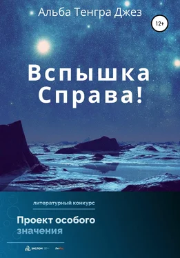 Альба Джез Вспышка справа! обложка книги