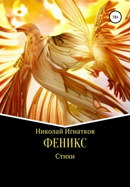 Николай Игнатков Феникс обложка книги