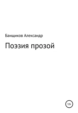 Александр Банщиков Поэзия прозой обложка книги