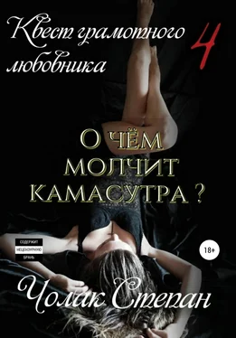 Степан Чолак Квест грамотного любовника 4 обложка книги