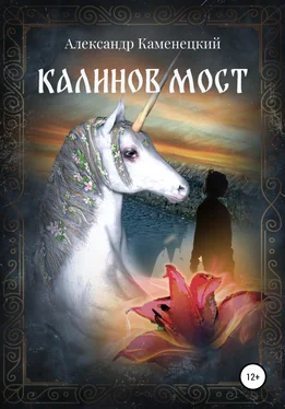 Александр Каменецкий Калинов мост обложка книги