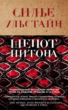 Cилье Ульстайн Шепот питона обложка книги