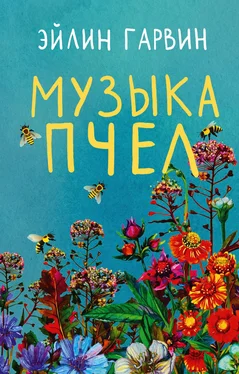 Эйлин Гарвин Музыка пчел обложка книги