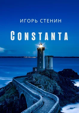 Игорь Стенин Constanta обложка книги