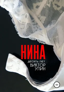 Виктор Улин Нина обложка книги