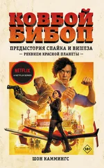 Шон Каммингс - Ковбой Бибоп. Предыстория Спайка и Вишеза - Реквием Красной планеты