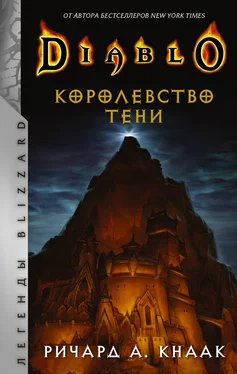 Ричард Кнаак Diablo. Королевство тени обложка книги