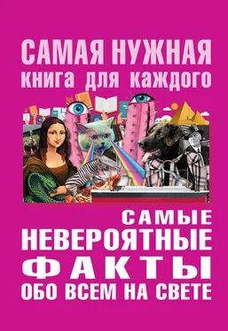 Юлия Бекичева Самые невероятные факты обо всем на свете обложка книги