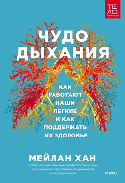 Мейлан Хан Чудо дыхания. Как работают наши легкие и как поддержать их здоровье обложка книги