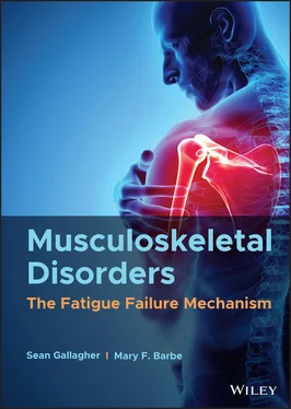 Sean Gallagher Musculoskeletal Disorders обложка книги