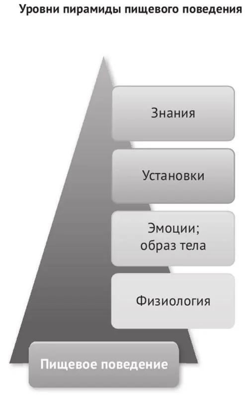 Для восстановления врожденной системы отношения к еде необходимо произвести - фото 3