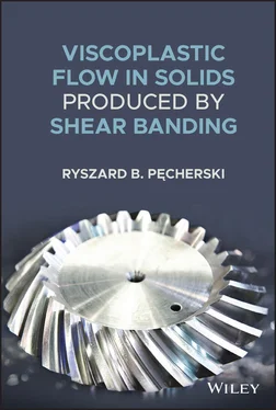 Ryszard B. Pecherski Viscoplastic Flow in Solids Produced by Shear Banding обложка книги