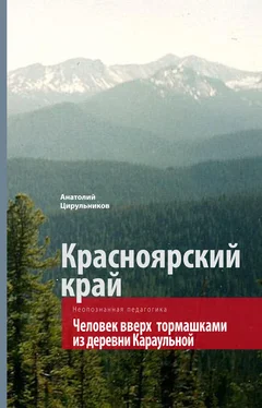 Анатолий Цирульников Неопознанная педагогика. Красноярский край. Человек вверх тормашками из деревни Караульной обложка книги