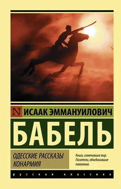 Исаак Бабель Одесские рассказы. Конармия обложка книги