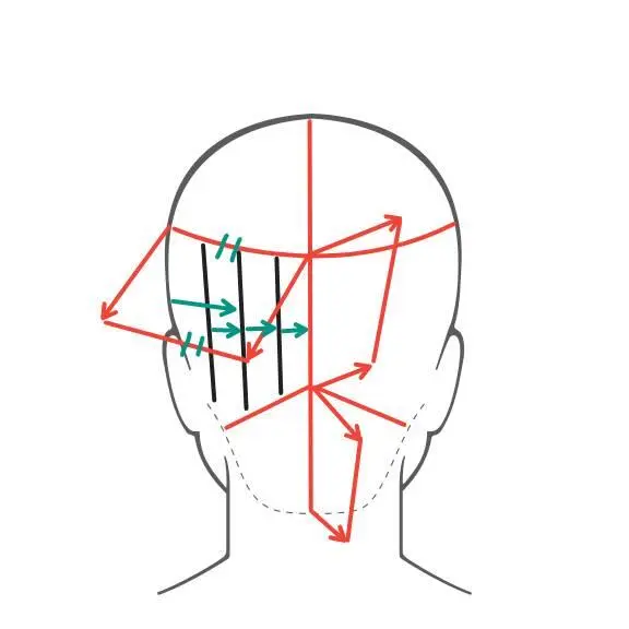 Рисунок 4 Стрижка средней секции затылка Голова клиента должна быть в слегка - фото 5