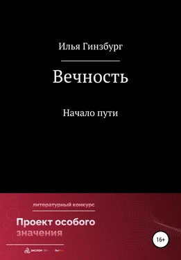 Илья Гинзбург Вечность обложка книги