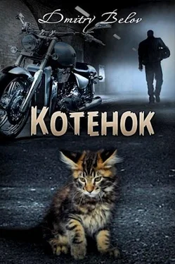 Дмитрий Белов Котёнок (СИ) обложка книги