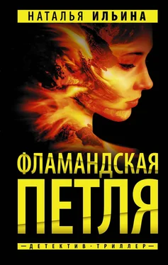 Наталья Ильина Фламандская петля обложка книги