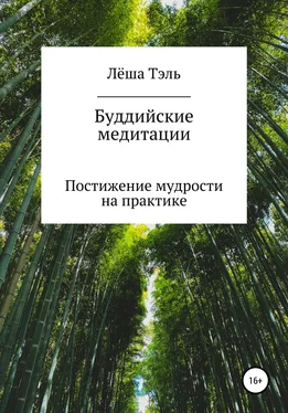 Леша Тэль Буддийские медитации. Постижение мудрости на практике обложка книги