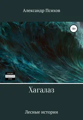 Александр Психов - Хагалаз