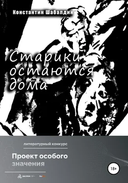 Константин Шабалдин Старики остаются дома обложка книги