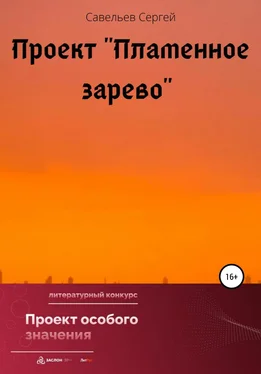 Сергей Савельев Проект «Пламенное зарево» обложка книги